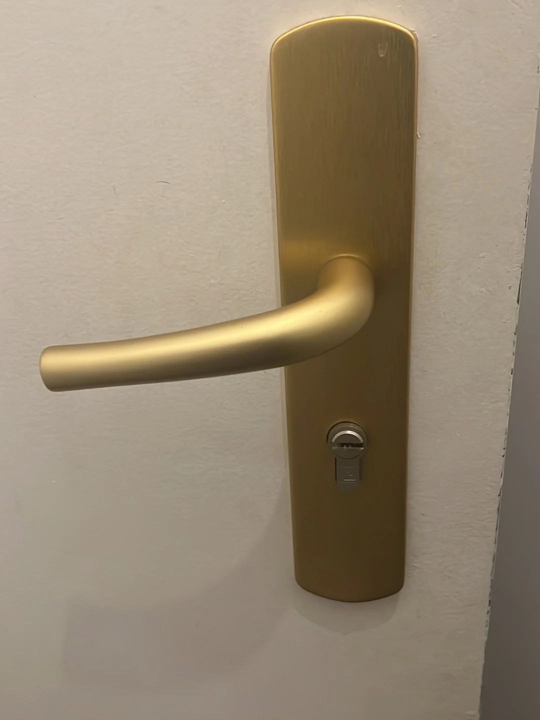 Poignée de porte et cylindre sécurisés